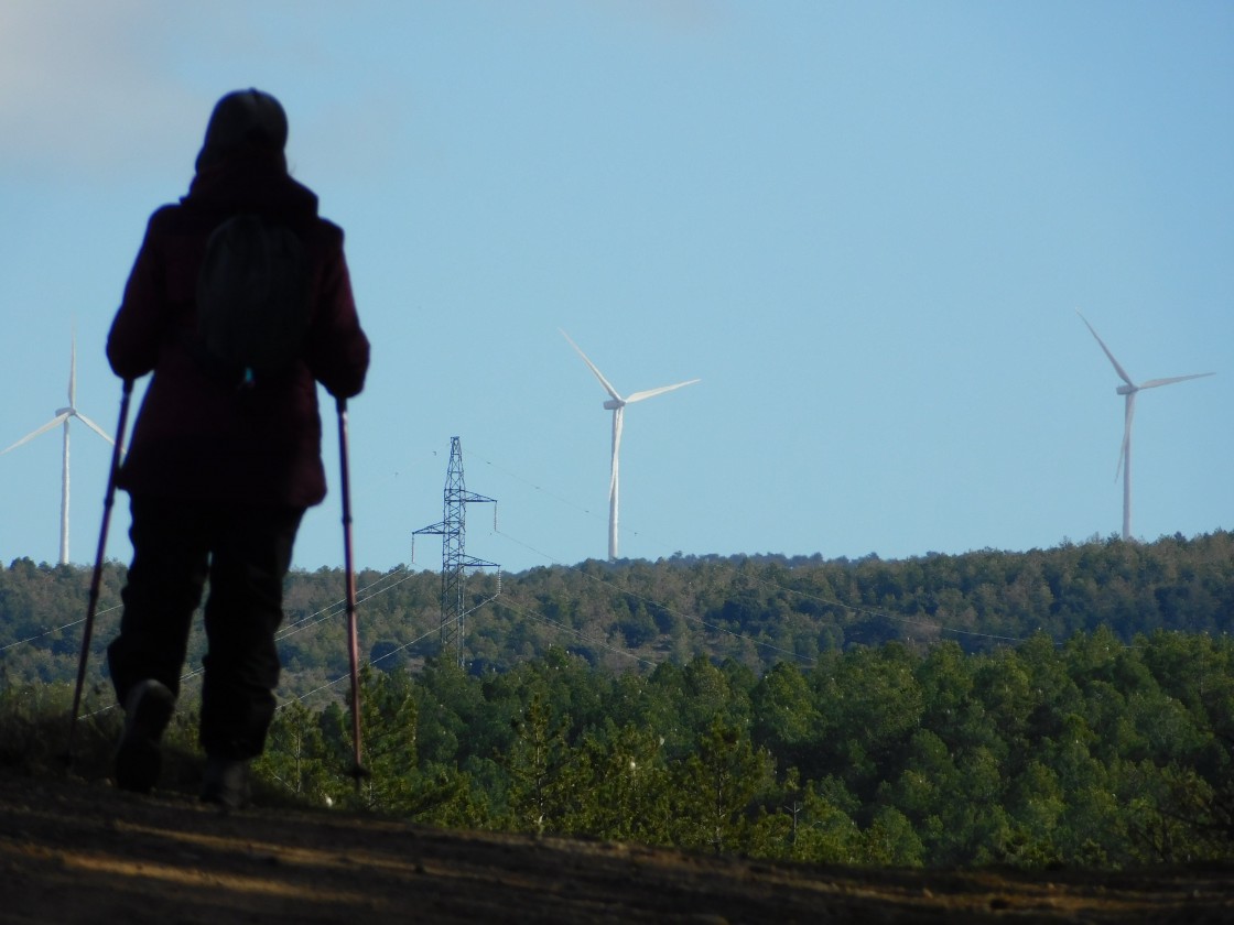 El fenómeno de las comunidades energéticas se abre paso en Teruel con una experiencia pionera en Luco de Jiloca