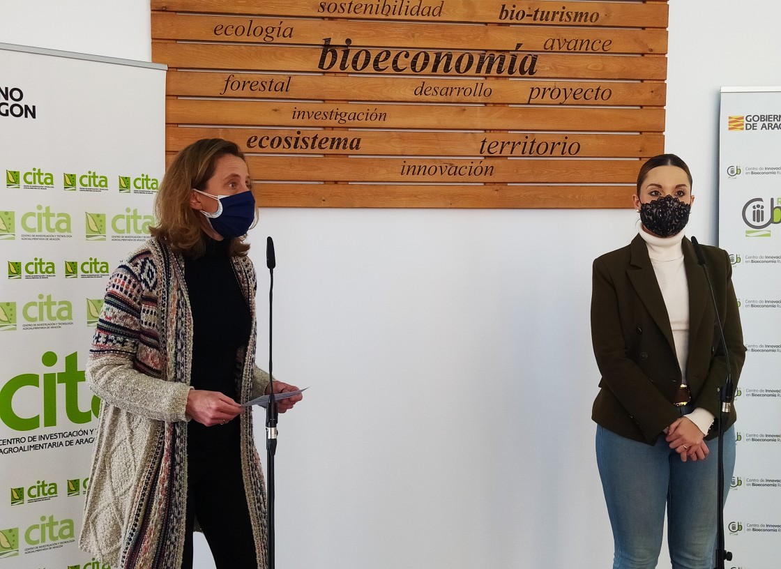 El Centro de Innovación en Bioeconomía Rural de Teruel lanza un concurso de dibujo para celebrar el Día Internacional de la Mujer y la Niña en Ciencia