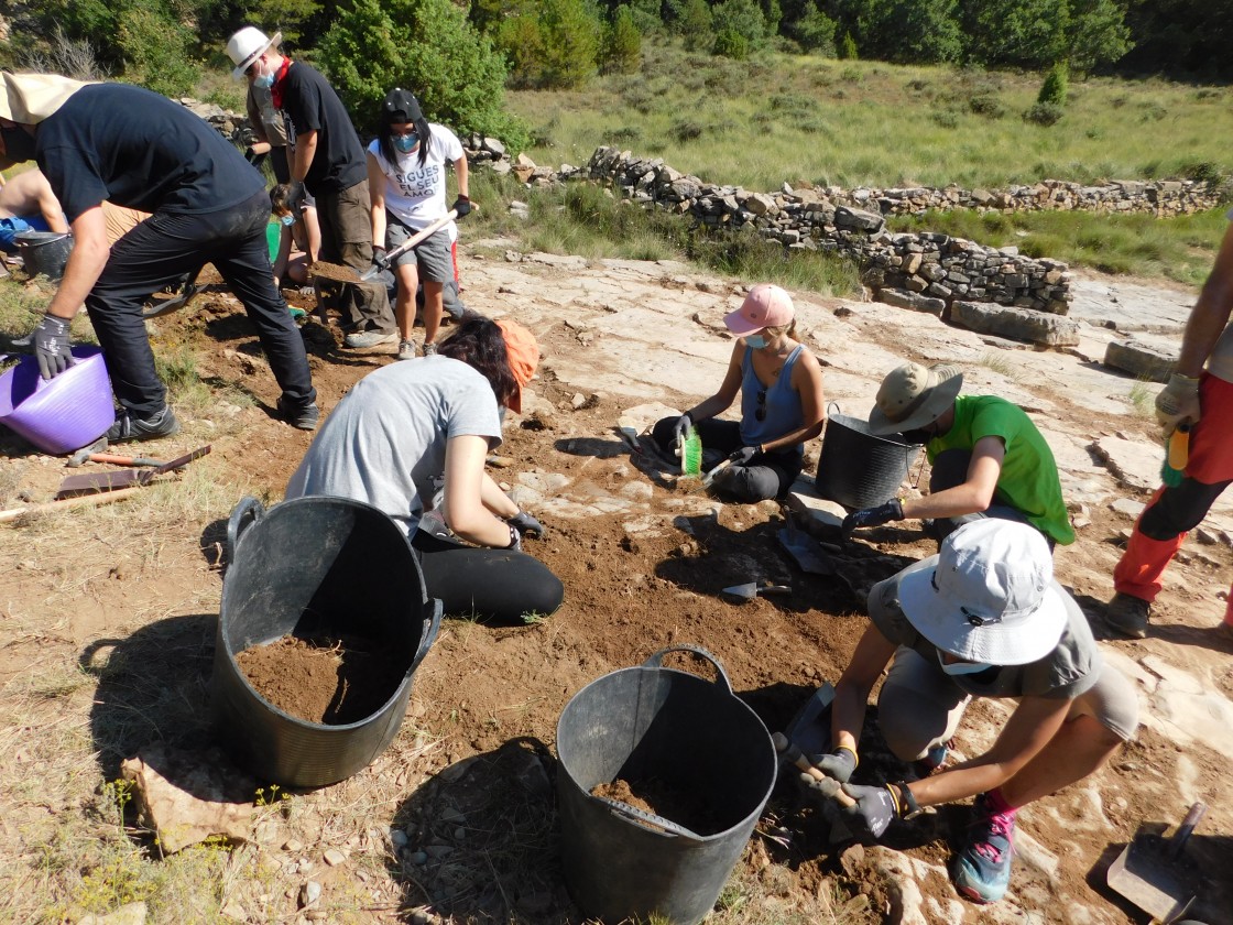 Los 60.000 fósiles que atesora la Fundación Dinópolis se convierten en una de las fortalezas de Teruel