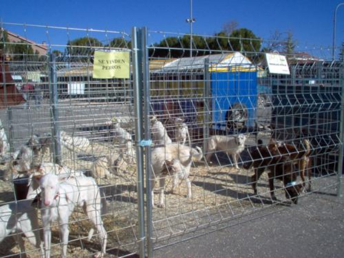 La Feria Captur de Calamocha se aplaza un mes y se celebrará los días 7 y 8 de mayo