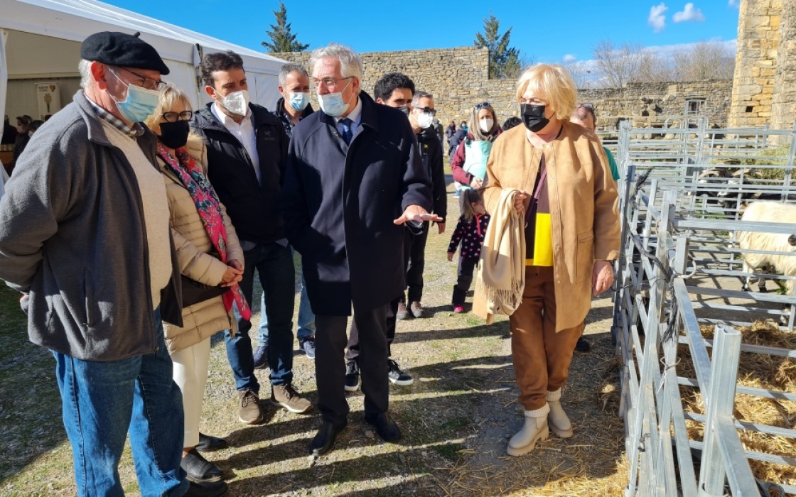 El Gobierno de Aragón destinará 11,1 millones de euros a la habilitación de caminos y acceso a parcelas de ocho proyectos de concentración parcelaria en Teruel