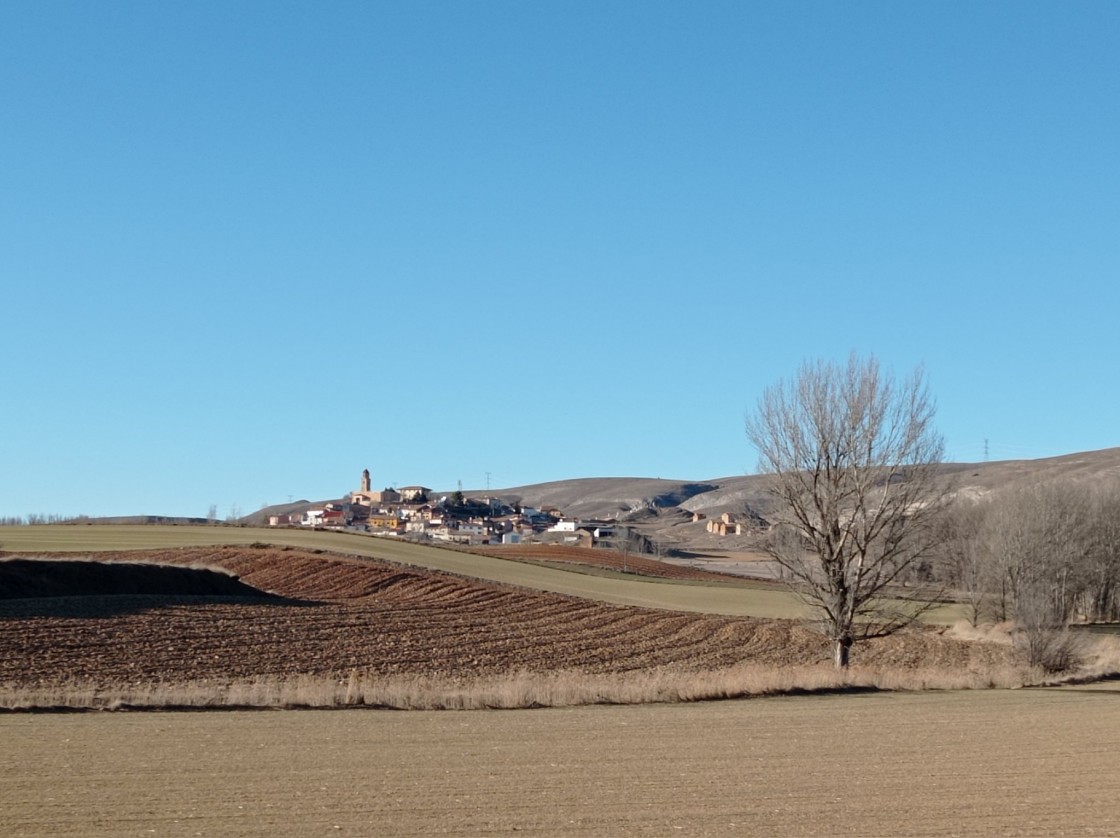 Los seguros agrarios alcanzan un capital récord de 124,4 millones de euros en la provincia