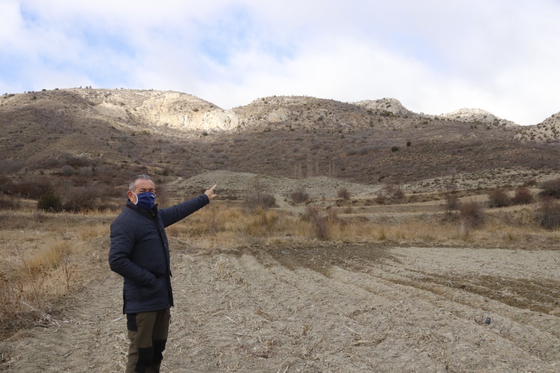 El proyecto internacional Corredor Biológico Mundial plantará en Camarena 50 hectáreas de encinas, serbales y arces