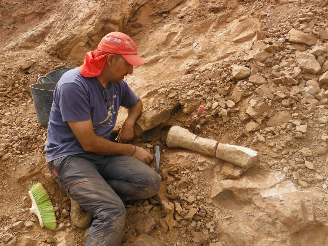 Teruel ha aportado al registro mundial diez géneros y especies de dinosaurios que no se conocían