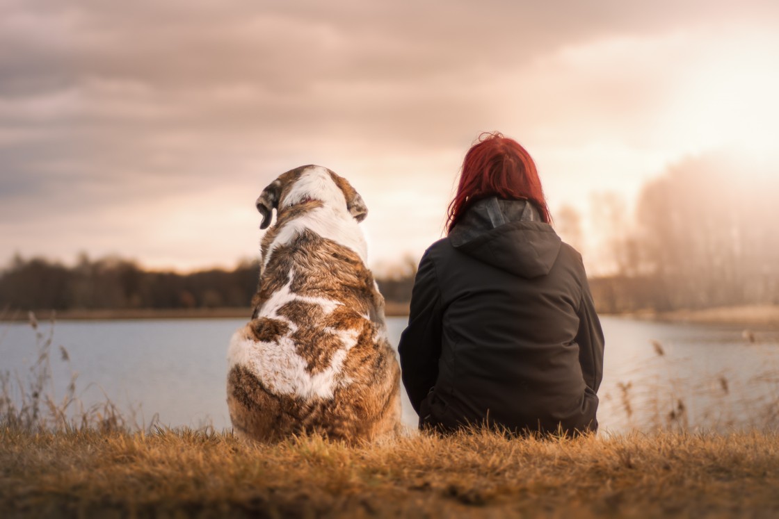 La relación entre humanos y animales, una cuestión pendiente de regulación