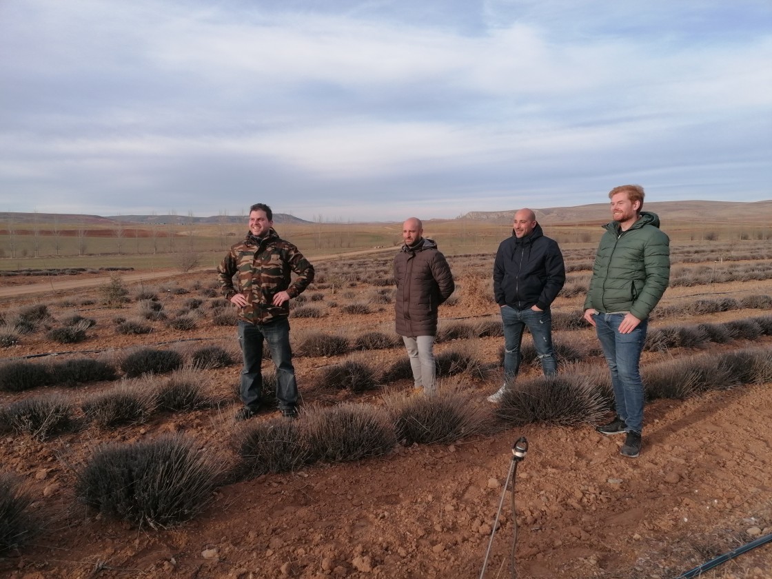 Un grupo de agricultores de Castilla descubre las propiedades de los cultivos de trufa y lavanda en Teruel