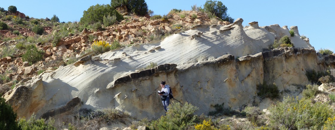 Playas tropicales con dunas eólicas afloran en las sierras del sudeste de Teruel