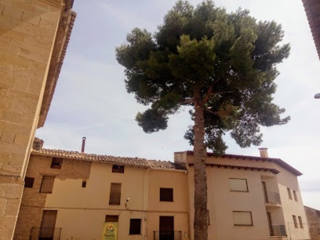 La Fresneda renueva la imagen de su plaza del Pilar y de la sala de actividades del ayuntamiento