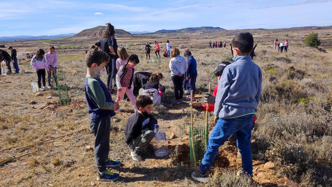 El monte San Macario acoge una nueva plantación de 300 árboles en Andorra