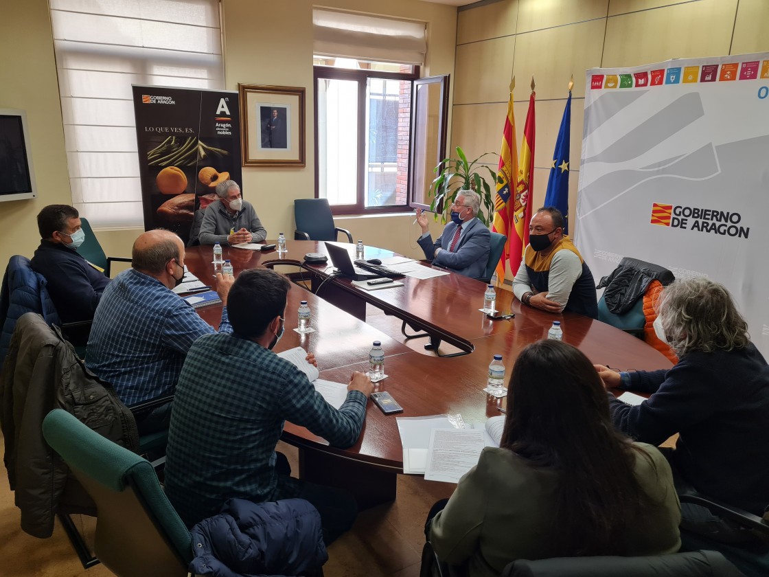 El Plan de control de conejos en Teruel permite capturar 90.535 ejemplares de la especie en las zonas con sobrepoblación