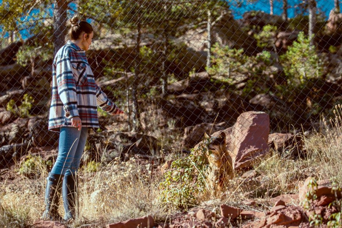 Los empresarios turísticos de la Sierra de Albarracín ofrecen este sábado seguir las Huellas y las Constelaciones