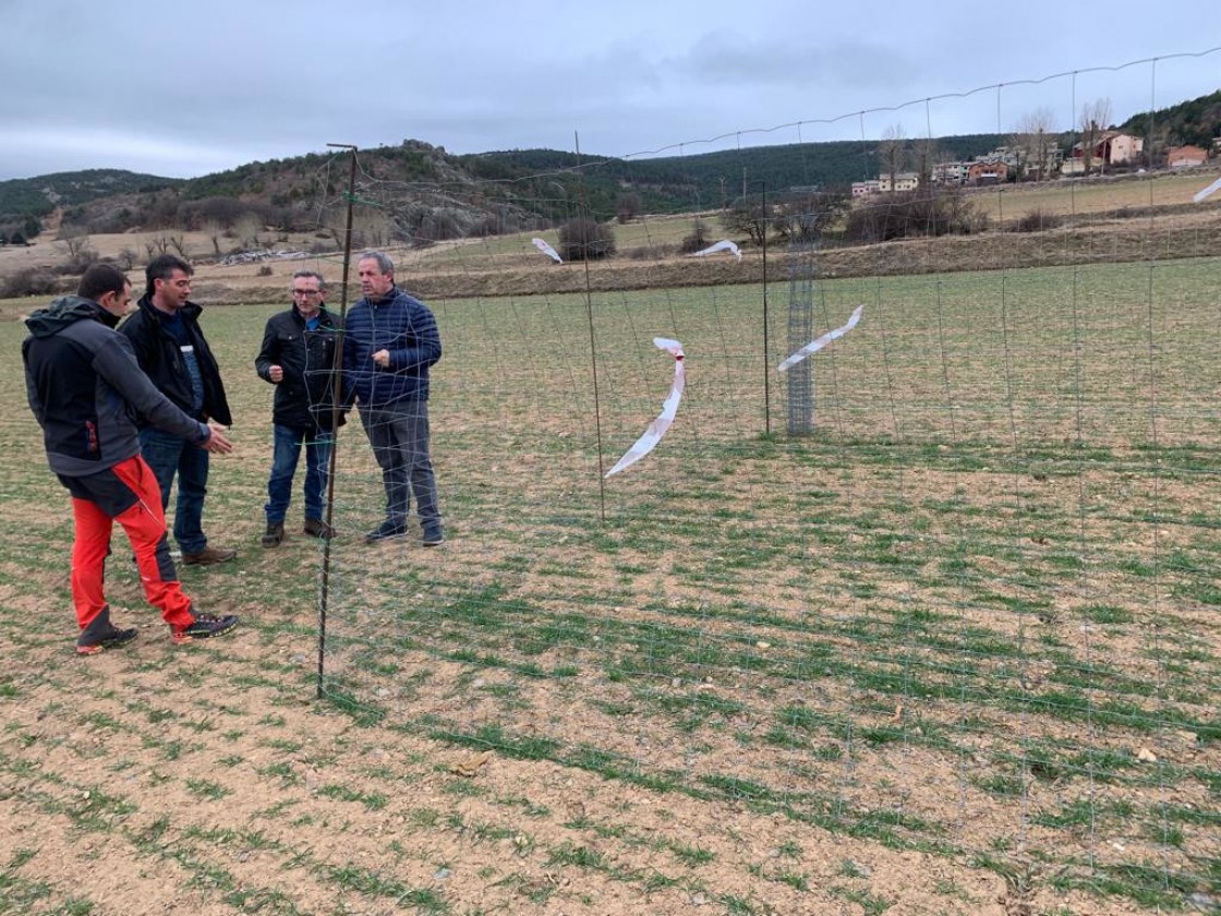 El PP exige soluciones para los agricultores afectados por los daños de los ciervos en la Sierra de Albarracín