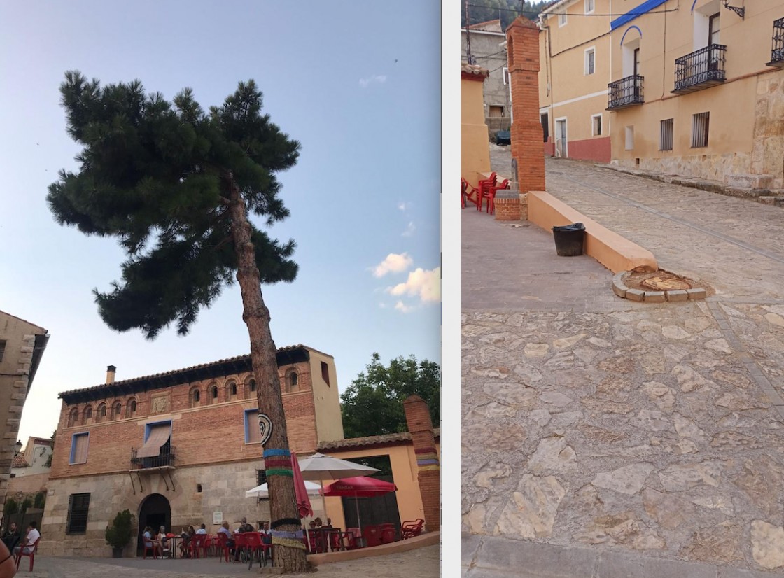 Quejas vecinales en Luco del Jiloca por la tala del  pino de la plaza