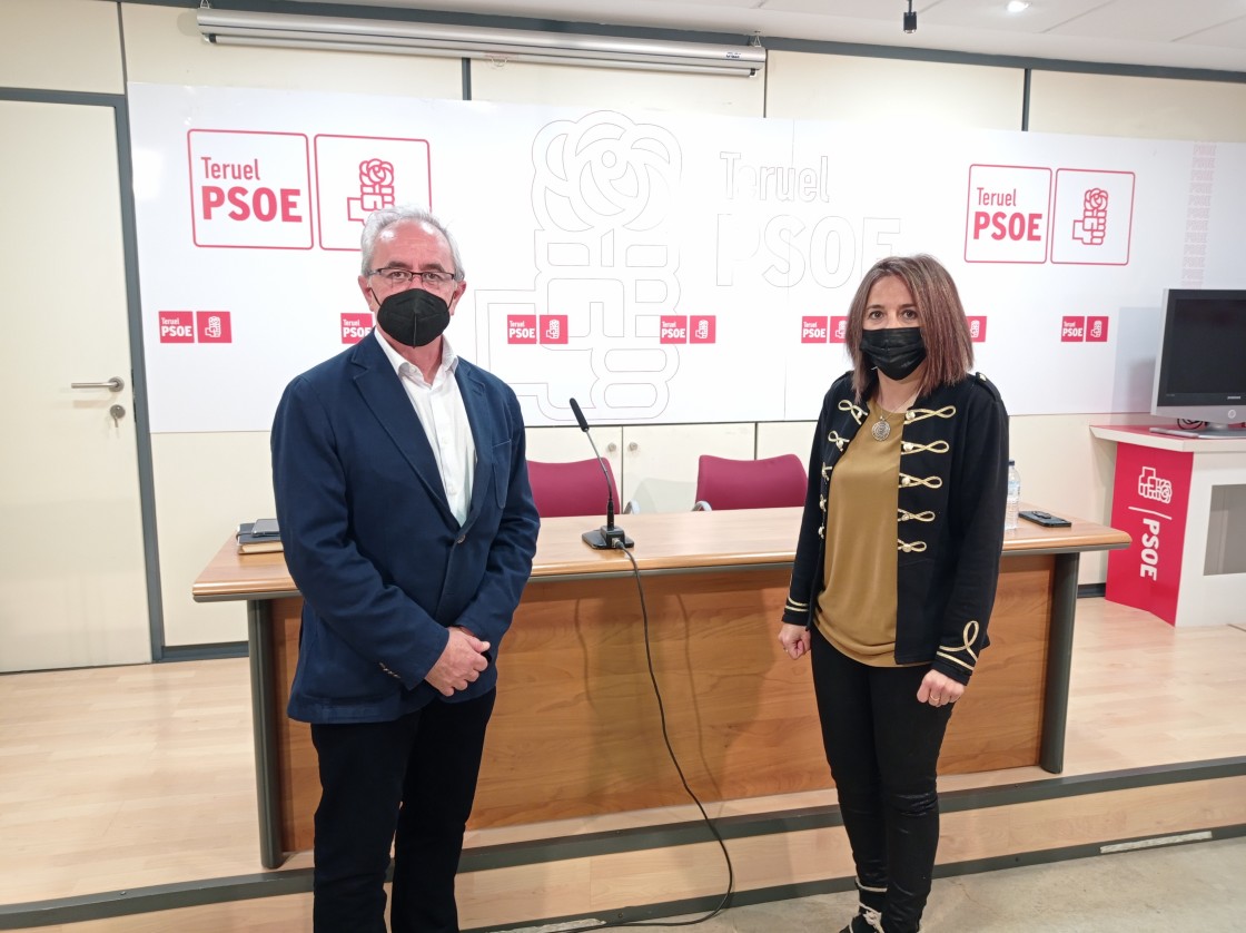 El PSOE pide al Ayuntamiento de Teruel que incluya el registro de ADN canino en la ordenanza de Convivencia con Animales