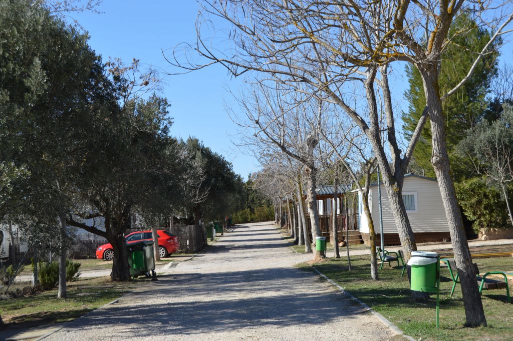 Alcañiz no encuentra gestor para el camping y costeará las obras antes de convocar otro concurso