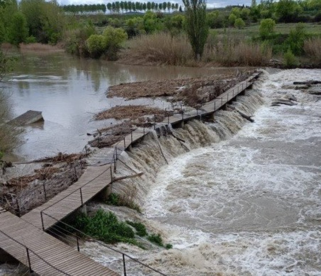 El grupo municipal del PAR en Alcañiz lamenta el estado de la ribera del Guadalope tras la última riada