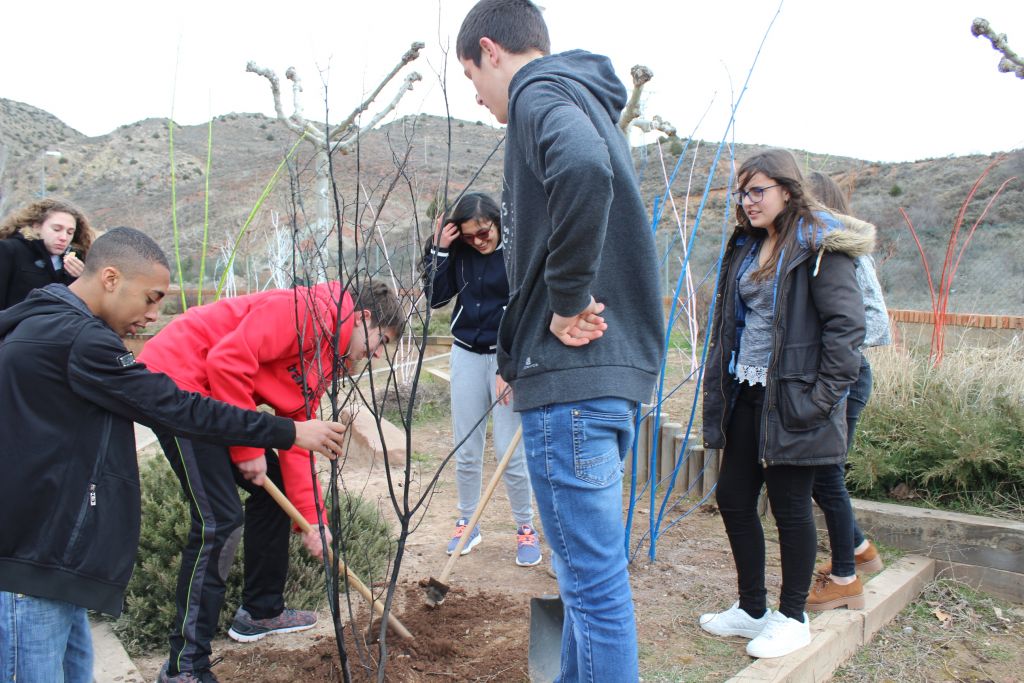 Los alumnos del IES?Lobetano de  Albarracín dan calor a un Jardín de Invierno