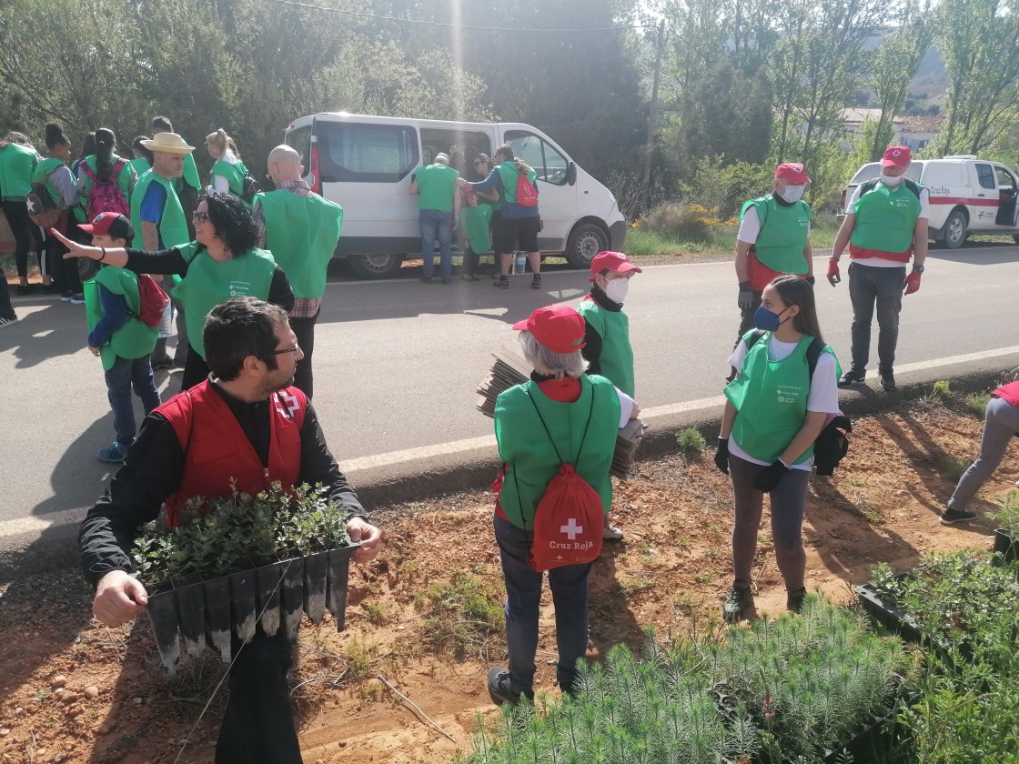 Cruz Roja culmina su plantación en San Blas con alta participación