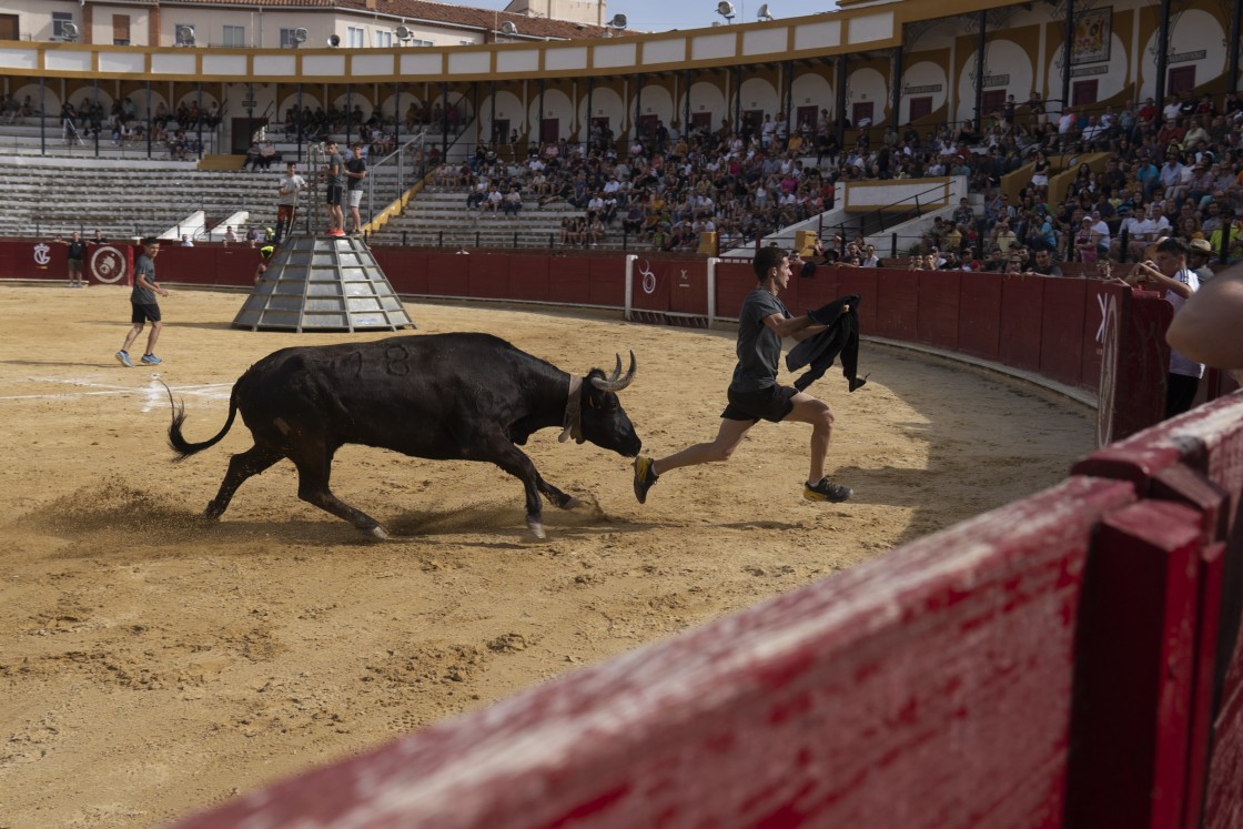 La ganadería de Vicente Benavent se hace con el VIII Desafío organizado por El Ruedo
