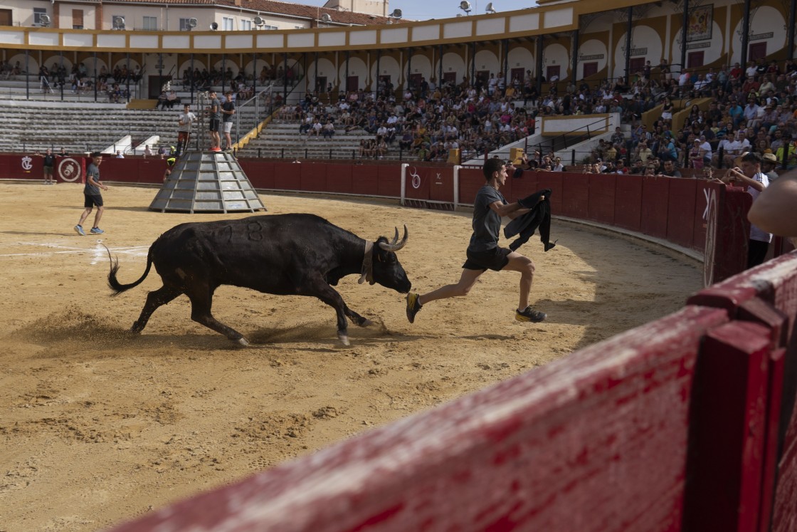 La ganadería de Vicente Benavent se hace con el VIII Desafío organizado por El Ruedo