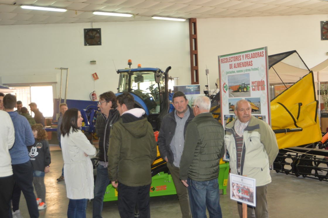 Valdealgorfa recupera durante este fin de semana la IX Feria de la Almendra