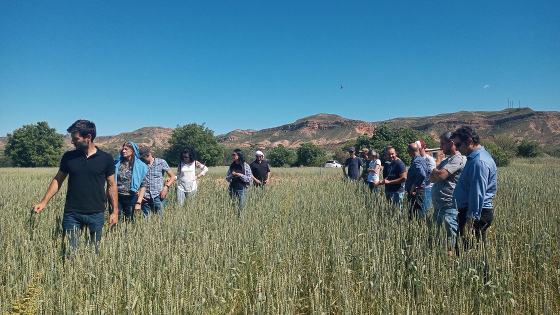 Los labradores turolenses se forman en nuevas técnicas sostenibles para los suelos