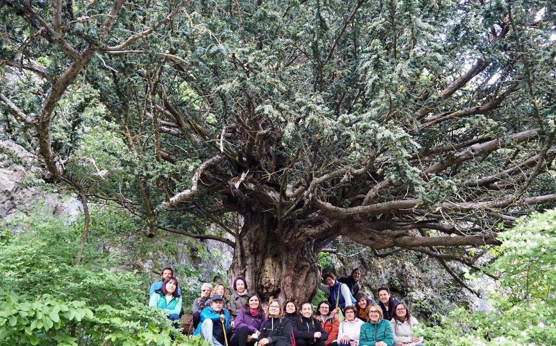 Gúdar-Javalambre organiza un curso de botánica práctica para difundir el patrimonio natural de la comarca