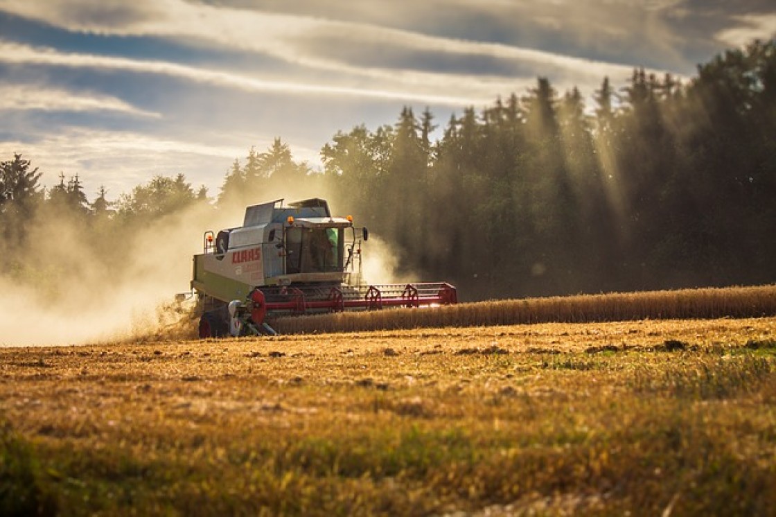 Transformación digital en el campo: así beneficia a agricultores y ganaderos