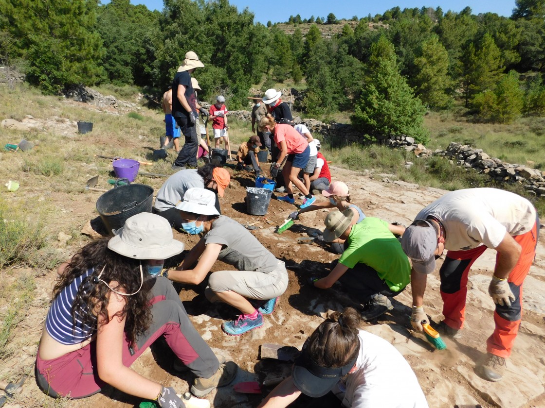 El curso de Paleontología de la UVT volverá a excavar en el yacimiento de El Pozo