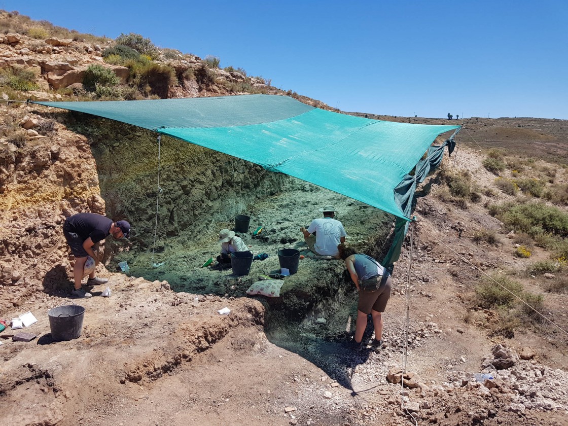 Una campaña paleontológica busca fósiles de félidos 'dientes de sable' en Teruel capital