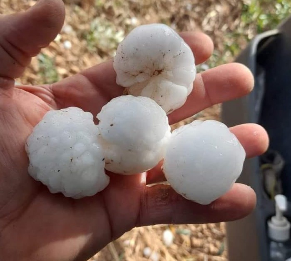 Una intensa granizada merma aún más la cosecha de melocotón en Calanda