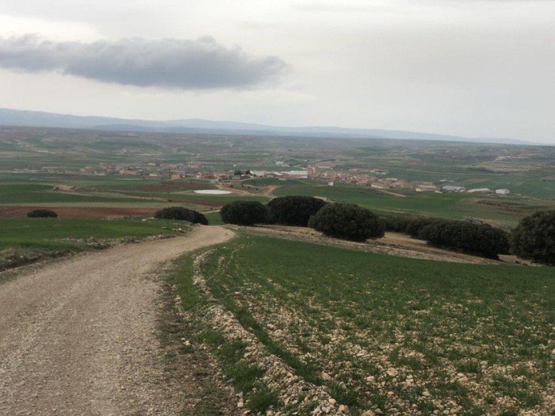 Celadas analiza el papel de sus bosques como sumideros de carbono