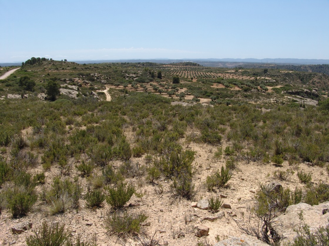 Los cazadores de Alcañiz tendrán cuatro zonas de aprovechamiento cinegético