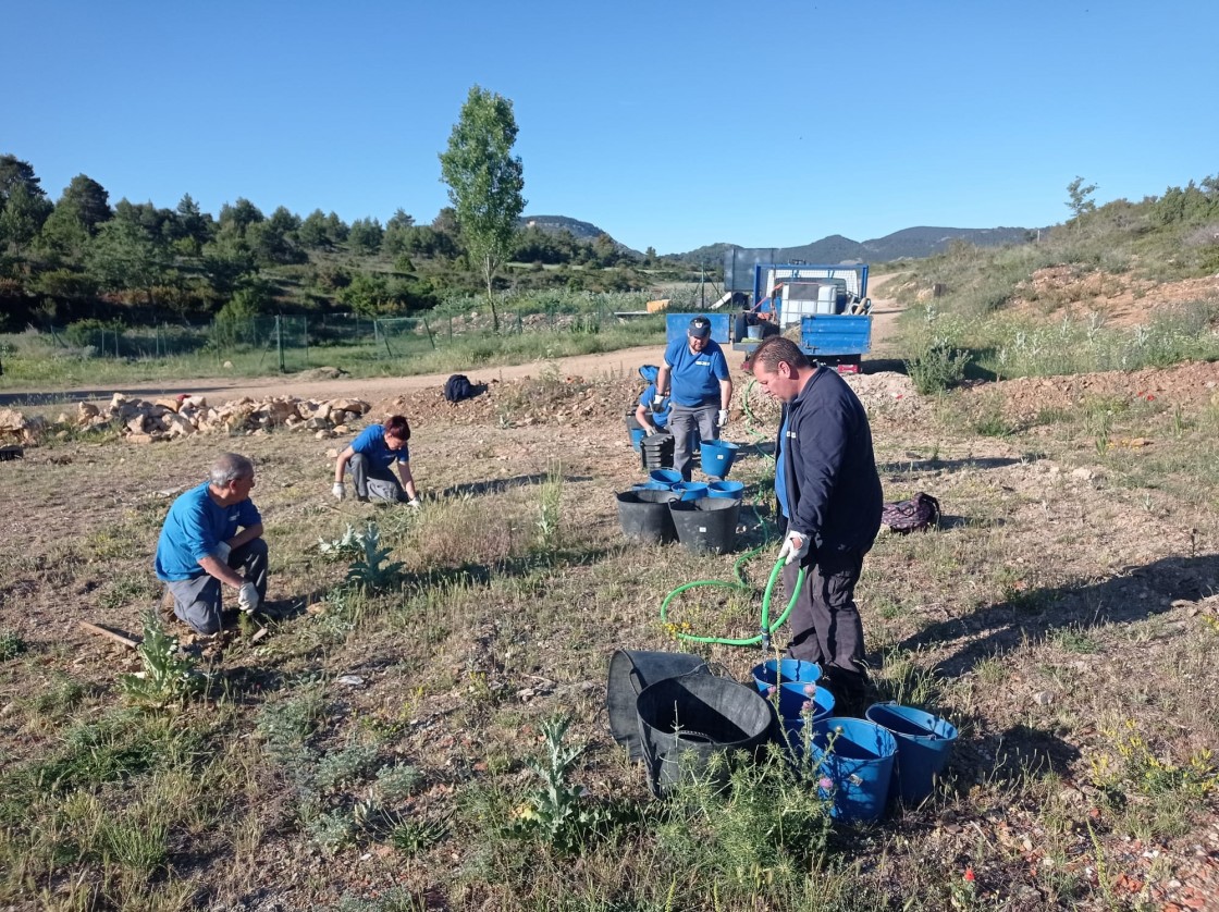 El taller de empleo forestal acondiciona dos montes de utilidad pública en Orihuela del Tremedal