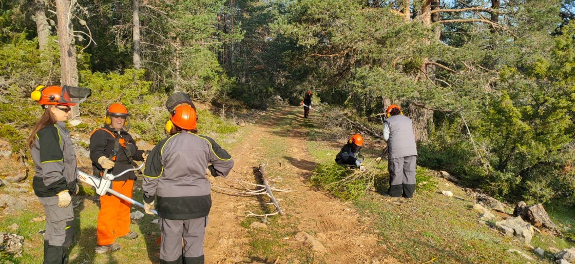 El taller de empleo forestal de la Alta Sierra de Montes Universales acondiciona caminos, fuentes y merenderos