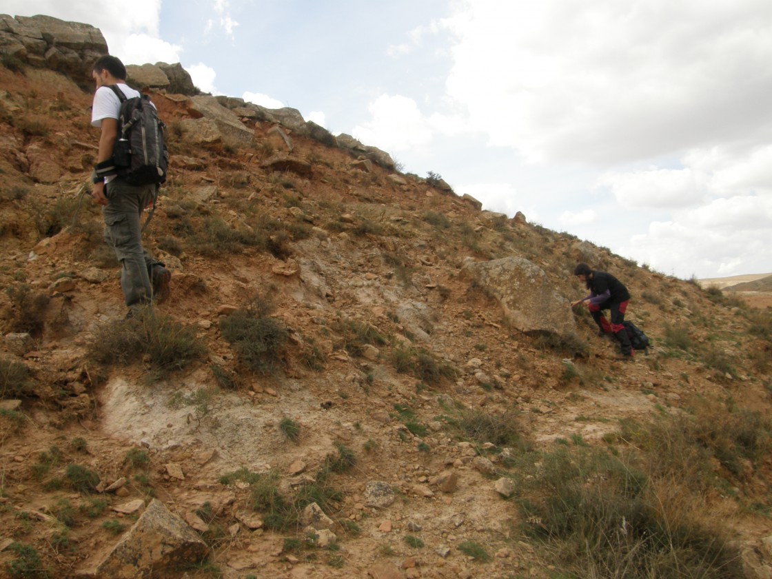 Los moluscos ya eran claves en la era de los dinosaurios para limpiar los ríos de Teruel