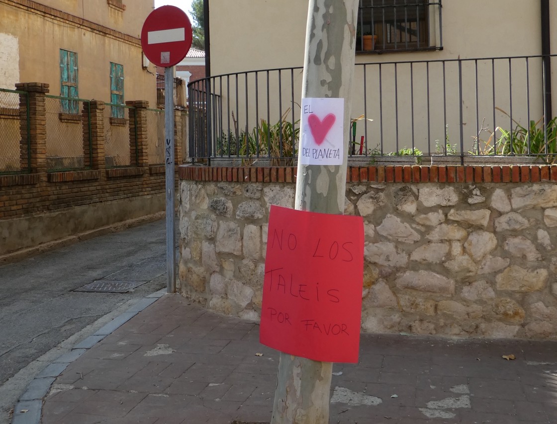 La asociación Acacia insiste en que se detenga la tala de árboles en la calle San Vicente de Paúl de Teruel