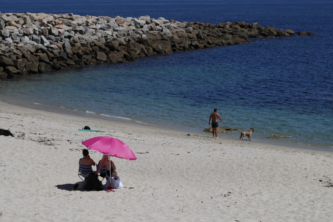 Nuestro último verano