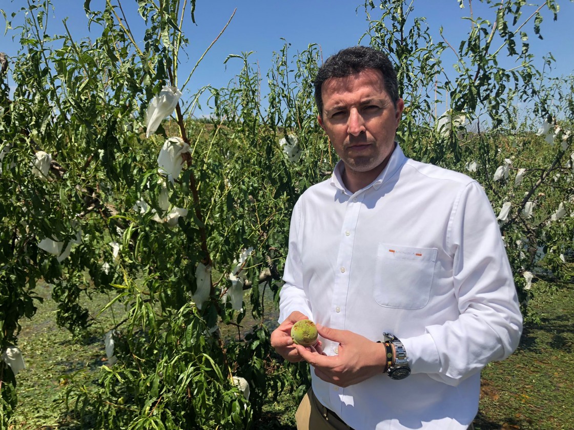 El seguro agrario en la provincia de Teruel roza ya el pago de 7,5 millones en los últimos ocho meses