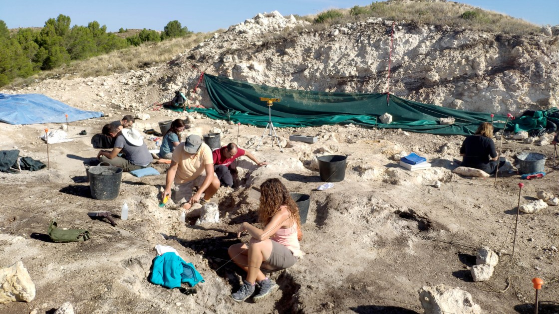 Fósiles de jirafas, hienas, caballos, gacelas y antílopes afloran en la actual campaña de excavación del yacimiento La Gloria 4 de Teruel