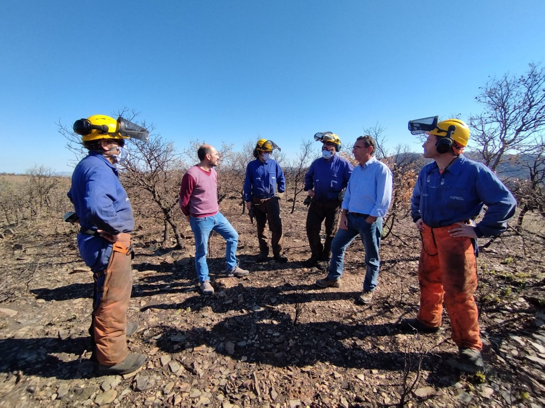 La Dirección General de Gestión Forestal ya trabaja en la restauración de las zona afectada por el incendio de Castejón de Tornos