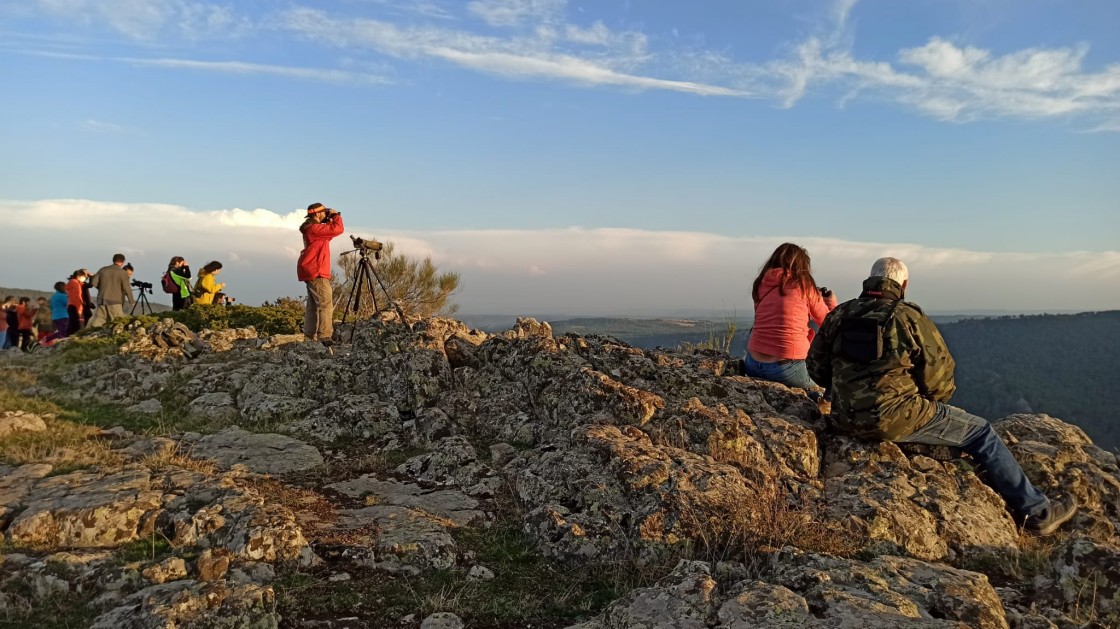 La ‘Berrea bajo las estrellas’ en la Sierra de Albarracín, en días laborables para evitar aglomeraciones