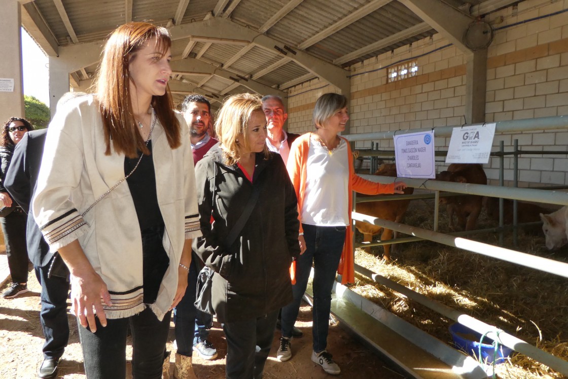 Cedrillas exhibe músculo ganadero, industrial y alimentario en su veterana y esperada muestra