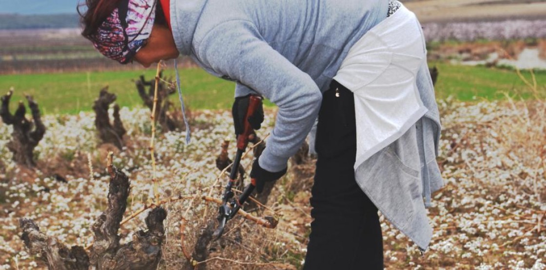 Hasta 66 jóvenes agricultores se incorporarán próximamente al sector en la provincia de Aragón