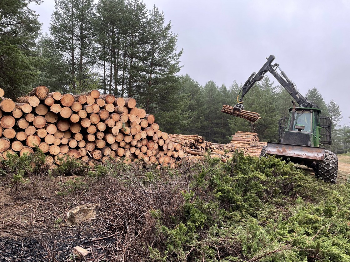 El Fondo de Inversiones de Teruel impulsa la mejora de la gestión forestal sostenible a través de una plataforma digital