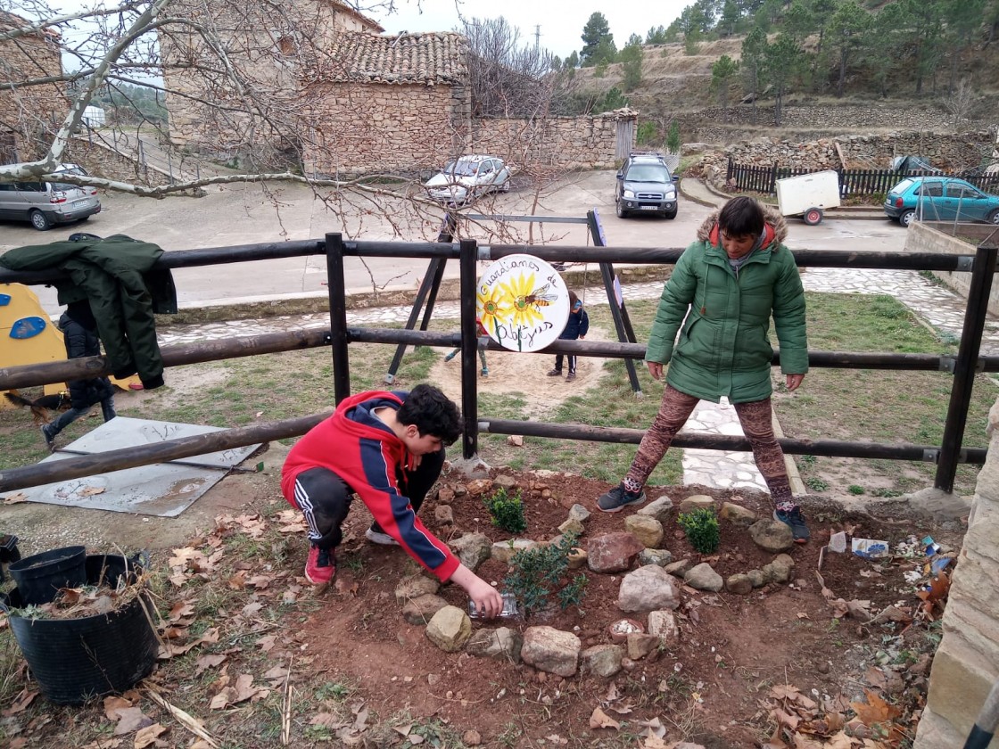 Plantación de árboles y talleres sobre ODS en la Semana Contra el Cambio Climático de Gúdar-Javalambre