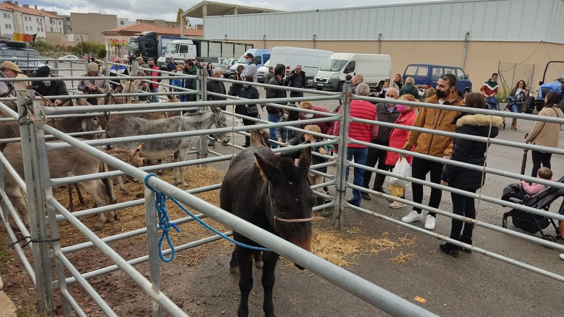 La Feria de Mora de Rubielos, una cita imprescindible con muchas actividades programadas