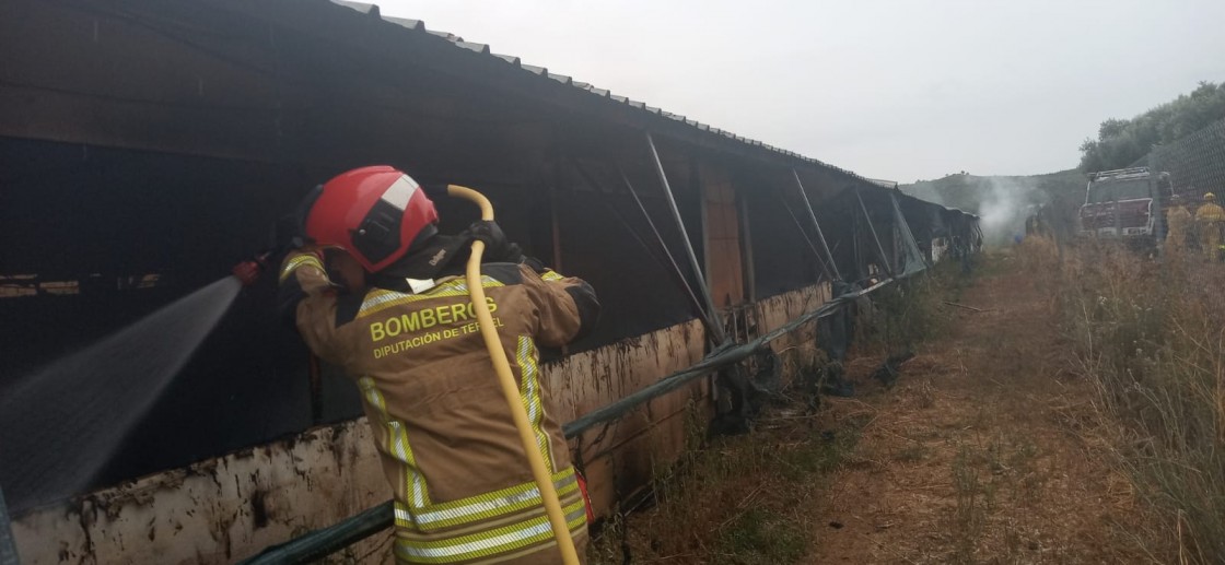 Un incendio calcina una granja de pollos en Valdeltormo con todos los animales en el interior