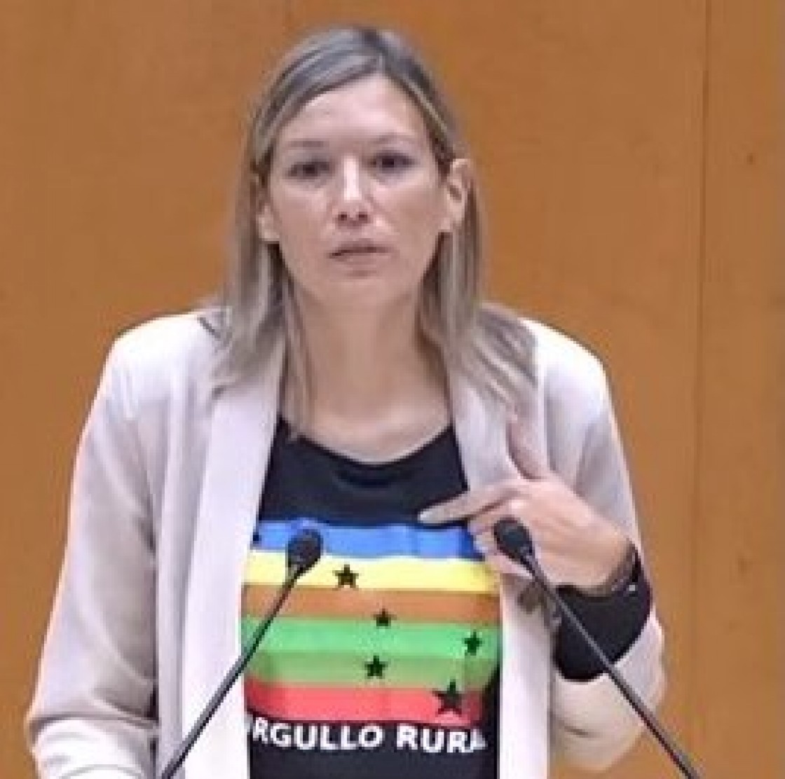 Egea reclama en el Senado reconocer el tren como un elemento 