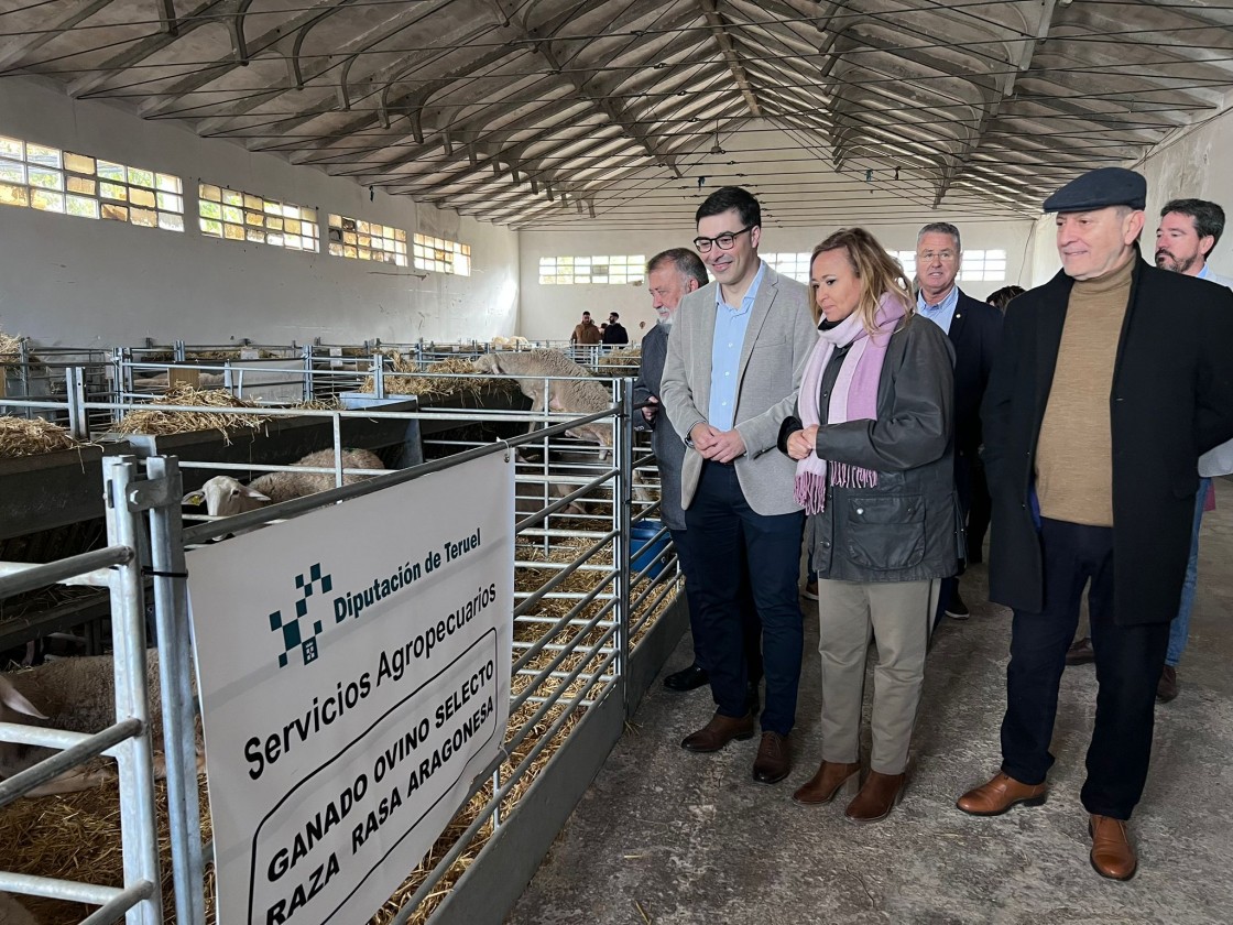 Aguaviva celebra la XXVII edición de su Feria de Productos y Servicios del Medio Rural